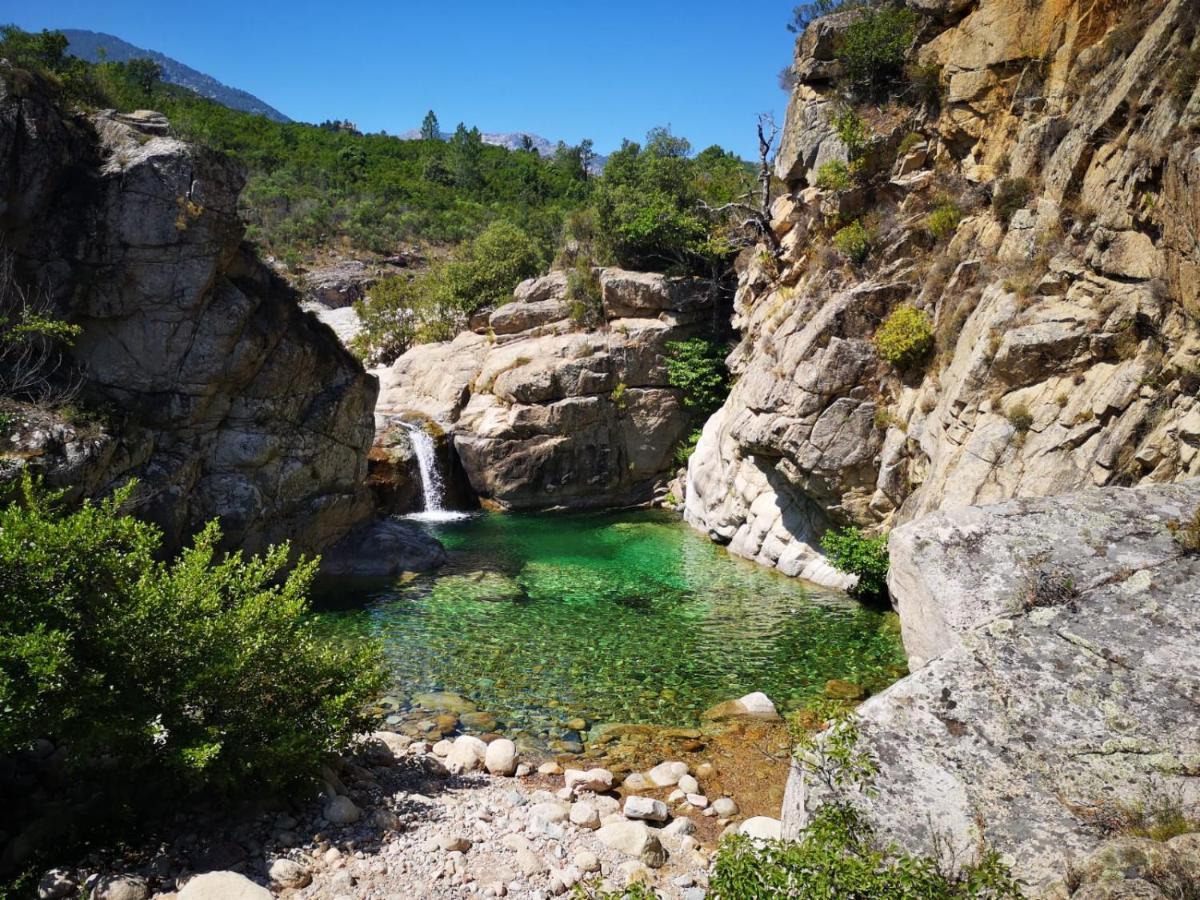 Un Petit Paradis Pinarellu Exteriör bild